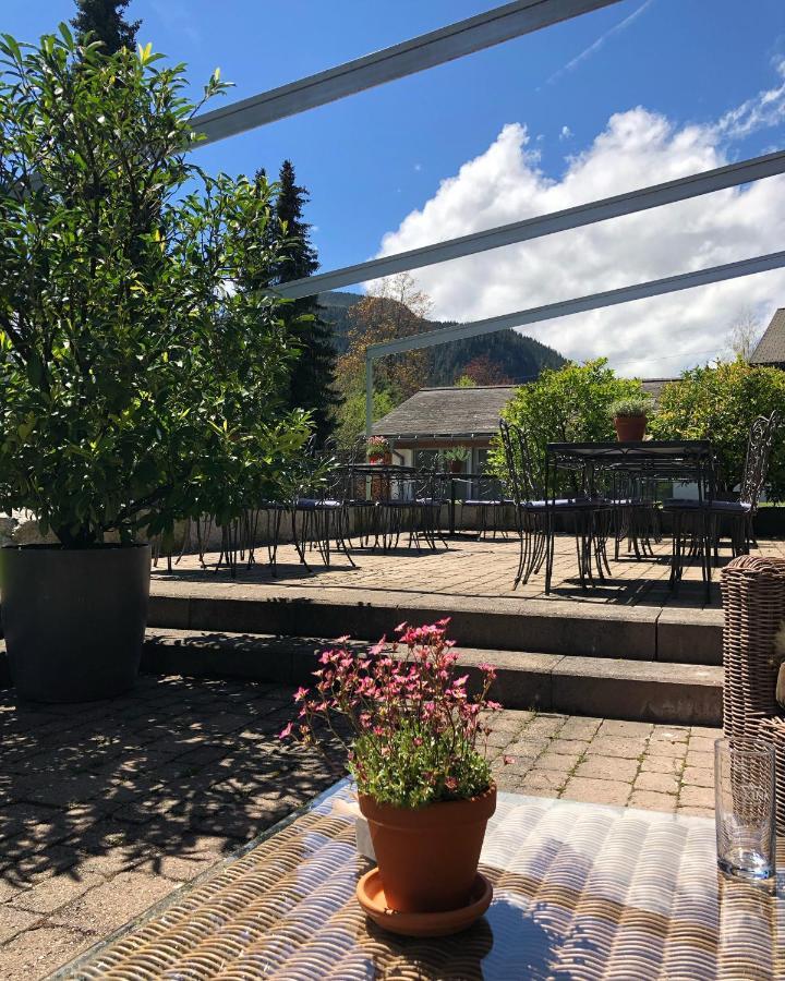 Hotel Alpine Lodge Gstaad Esterno foto